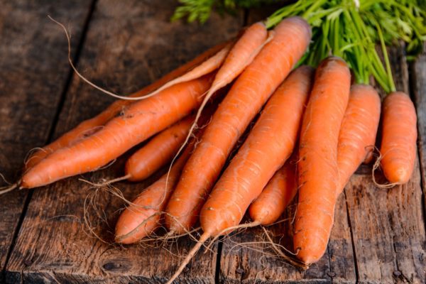 Озимий посів буряку і моркви: дати посадки, рекомендовані сорти і температурні показники
