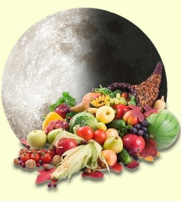 Місячний календар городника на серпень 2020 року: дати, коли збирати урожай і що садити