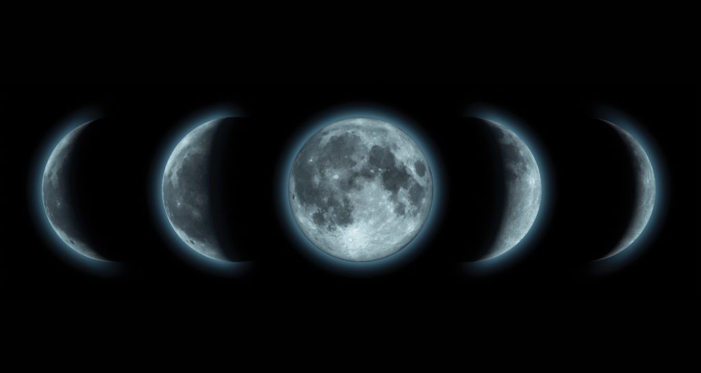 Місячний календар кімнатних рослин на вересень 2021: фази Місяця і знак зодіаку