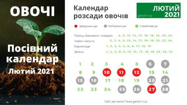 посівний календар овочі лютий 2021
