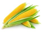 Кукурудза: як заморозити в зернах на зиму