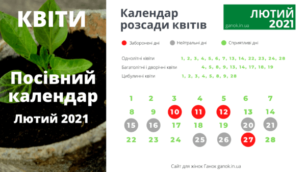 посівний календар квіти лютий 2021