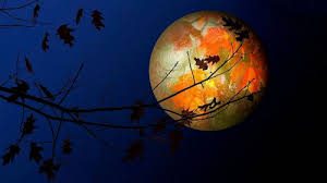 Місячний календар листопад 2022: коли Молодик, Повня, фаза Місяця в кожен день листопада, який місячний день та знак зодіаку