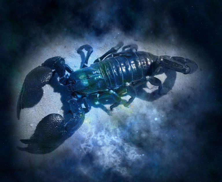 Скорпіон: гороскоп на серпень 2019 року від Анжели Перл