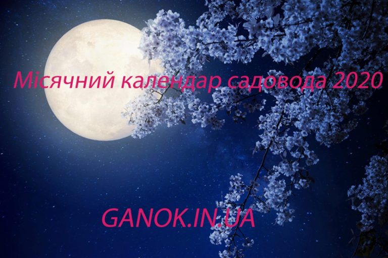 Місячний календар садовода на 2020 рік: сприятливі дні для посадки саджанців і щеплення