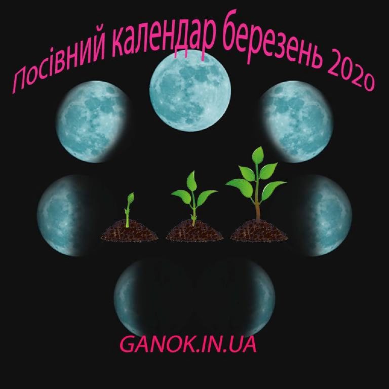 Місячний посівний календар на березень 2020 року