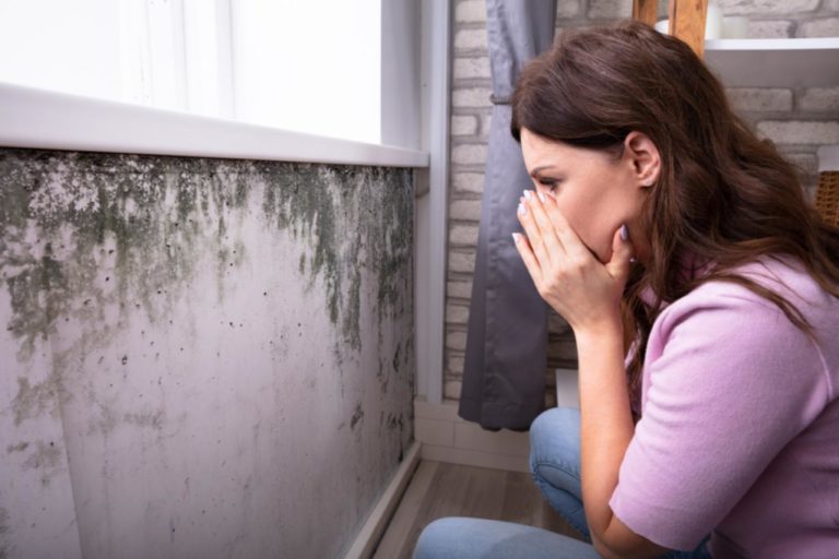 Як позбутися цвілі: народні рецепти з інгредієнтів, які небагато коштують