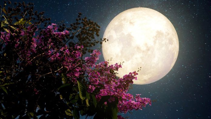 Календар фази Місяця травень 2024: коли Молодик, дата Повні, місячна фаза в кожен день травня, знак зодіаку в якому є Місяць, місячний день