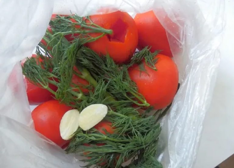 Малосольні помідори з часником та зеленню в пакеті