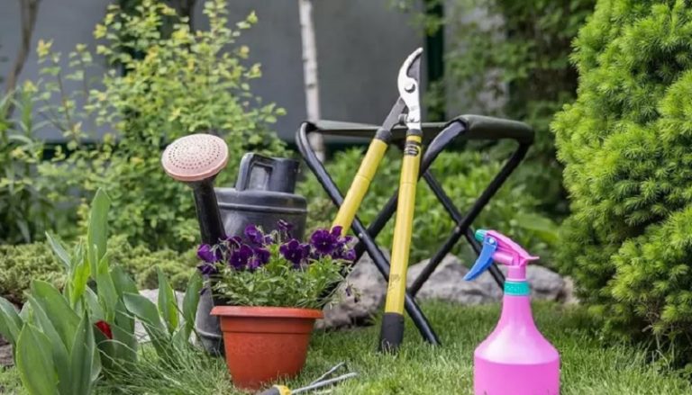 Що робити в саду в кожен день червня 2024 рекомендує місячний календар садівника та квітникаря