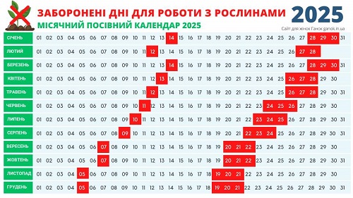 Місячний календар кімнатних рослин на березень 2025: заборонені дні