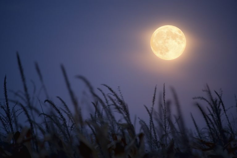Повня 31 жовтня 2020 року: що несе Блакитний Місяць кожному знаку Зодіаку