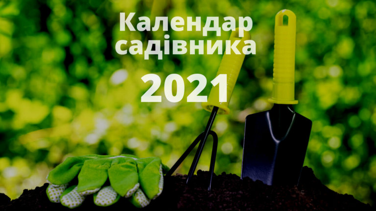 Календар садівника 2021: сприятливі дні для щеплення, посадки саджанців дерев і плодових кущів, квітів
