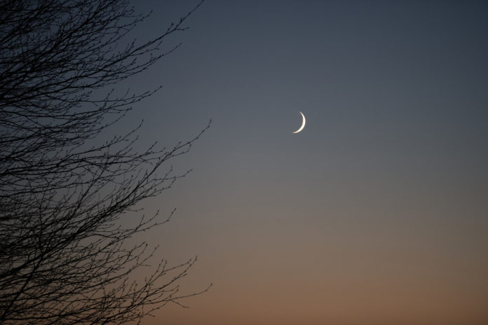 Новий Місяць і його вплив на знаки Зодіаку