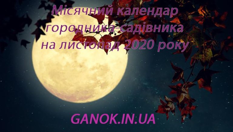 Місячний календар городника на листопад 2020 року: поради на кожен день