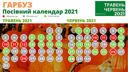 Коли сіяти гарбуз сприятливі дні в травні 2021 і червні 2021. Посівний календар 2021