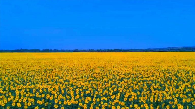 Місячний календар серпень 2022 по днях: фази Місяця, коли молодий Місяць, повний Місяць