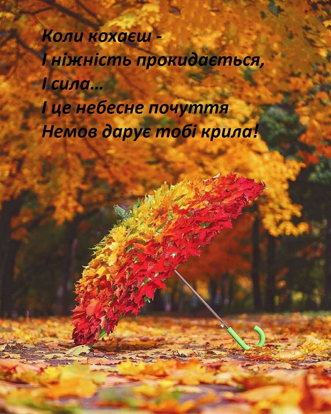 Цитати для інстграм про осінь і кохання: коли кохаєш восени