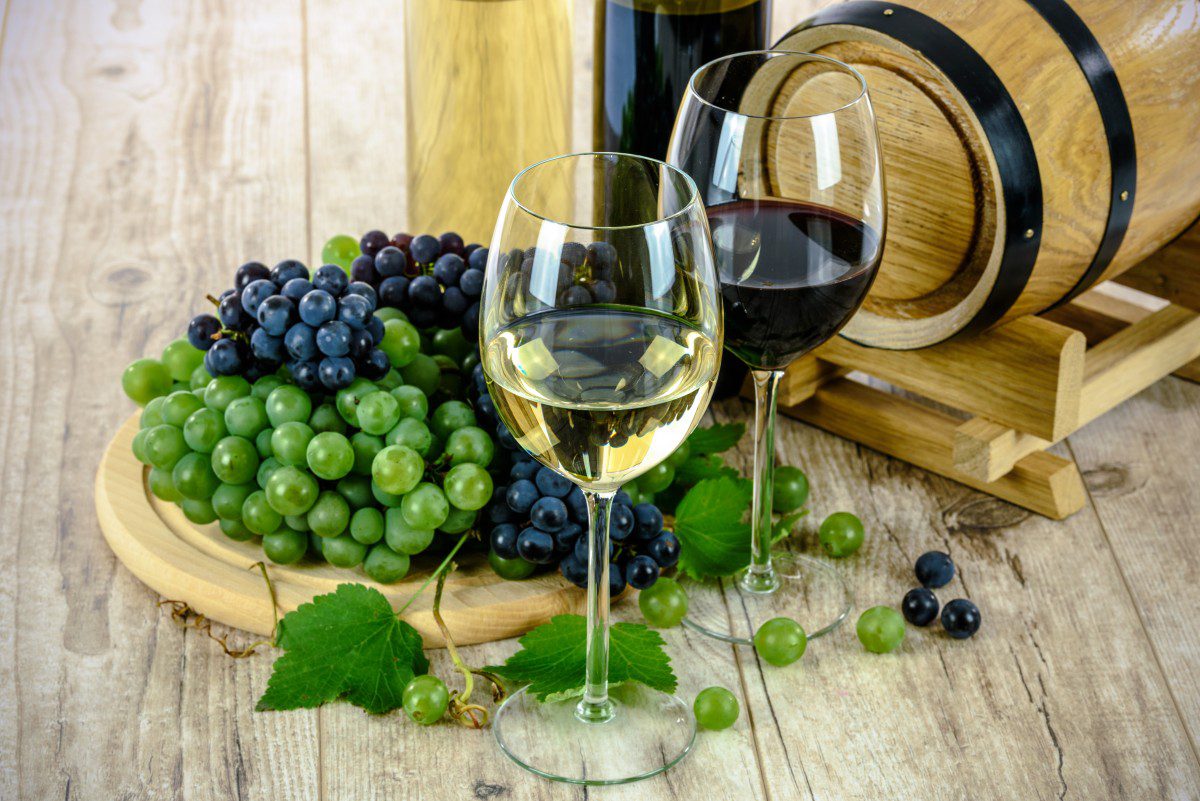 Виноград навесні: як обрізати та реанімувати у разі пошкодження лози