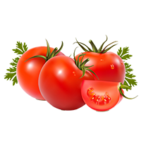 Пасинкування середньорослих (детермінантних) томатів